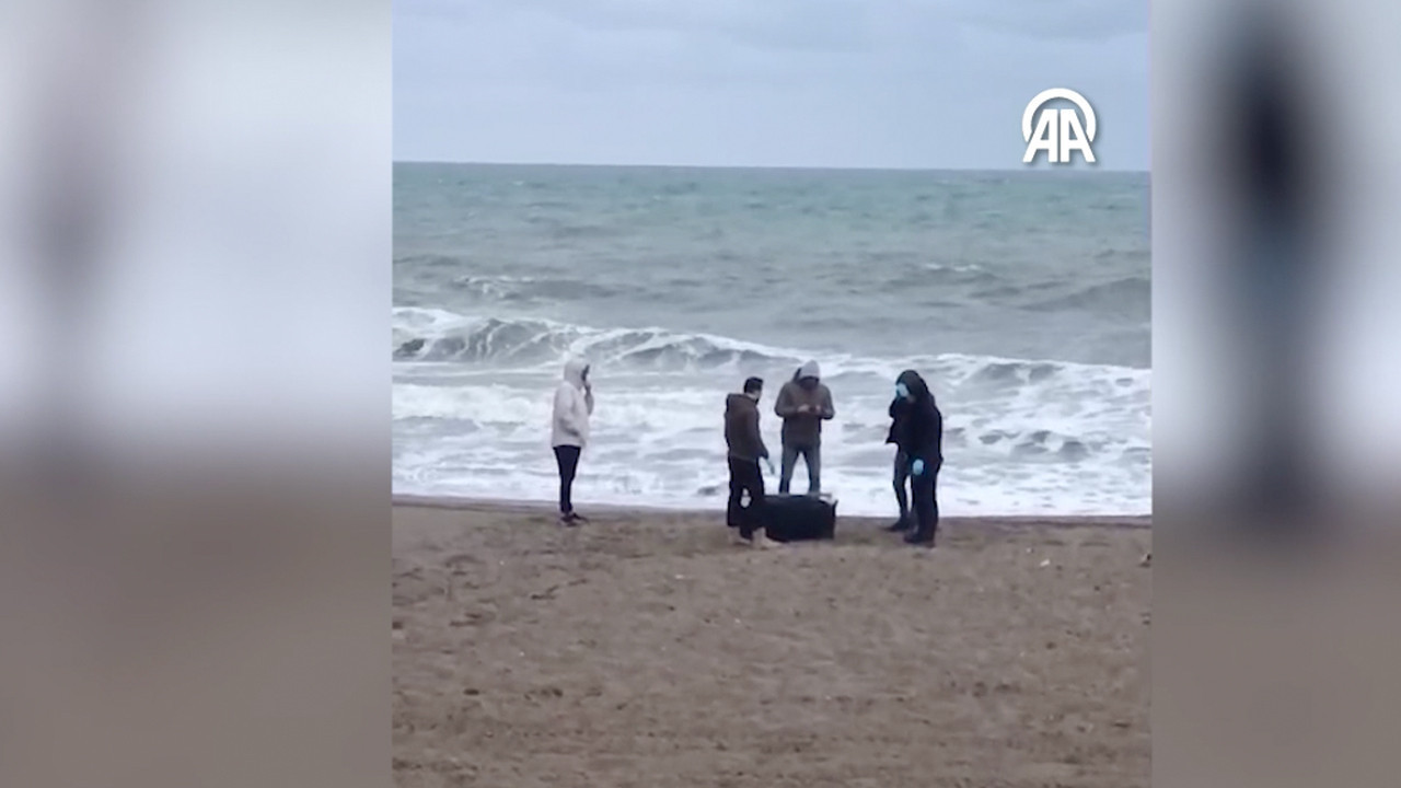 Karasu'da sahile vuran çantanın içinden çıktı!