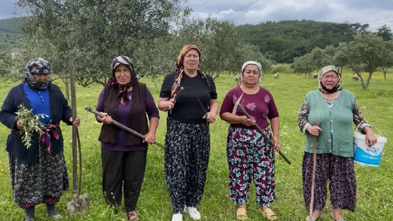 Akbelen Ormanı’nda direniş sonuç verdi! Kamulaştırma kararında geri adım
