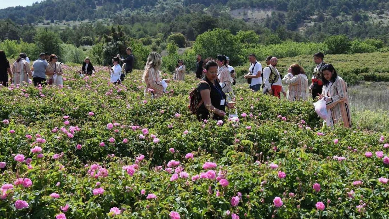Isparta'da hasat telaşı: 20 ton rekolte bekleniyor