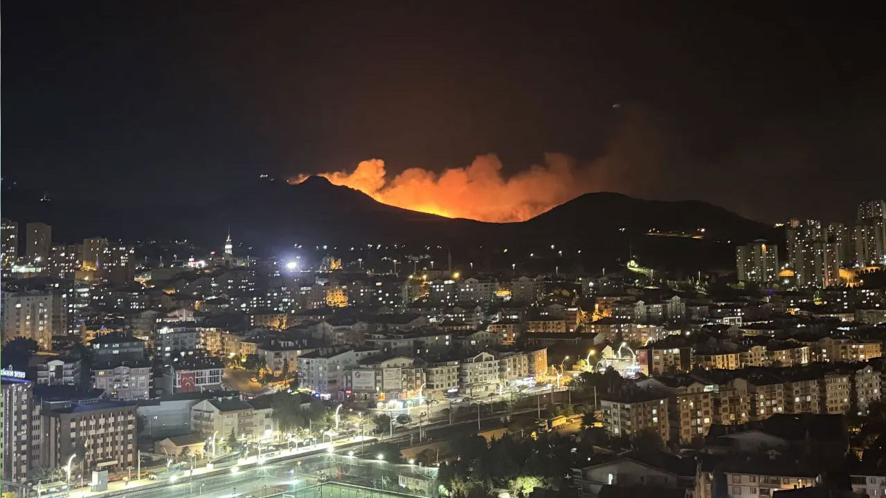 Ankara'da ağaçlık alanda çıkan yangına müdahale edildi