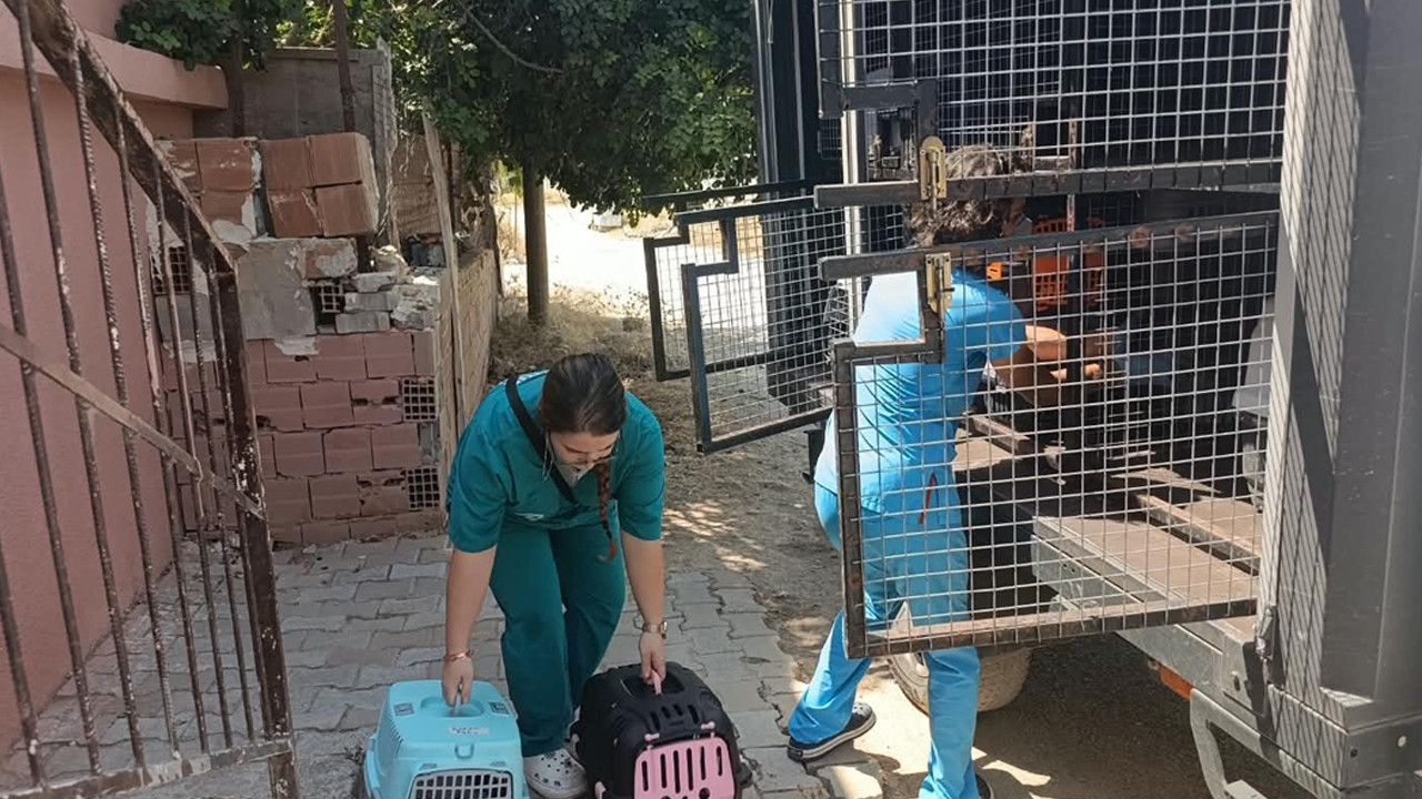 Kötü koku yaydığı ihbarı yapılan evden bakın ne çıktı