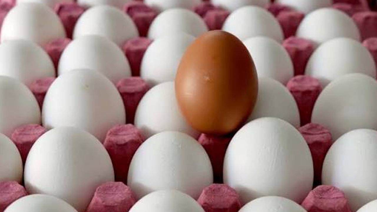Salmonella bakterisi bulaşan yumurtaları tüketen 306 kişi hastalandı