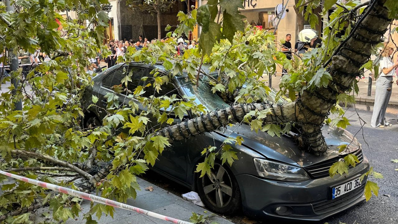 Şişli'de kökünden sökülen ağaç devrildi 2 araçta büyük hasar oluştu