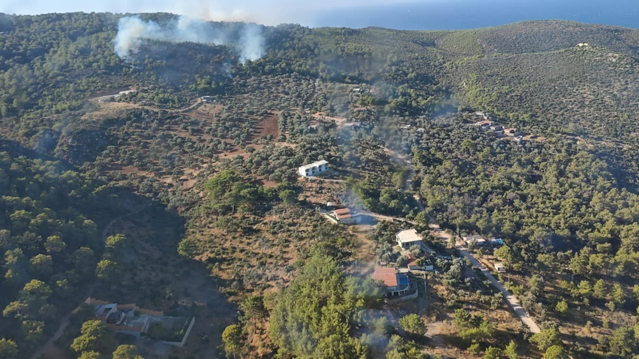Kaş'ta orman yangını çıktı!