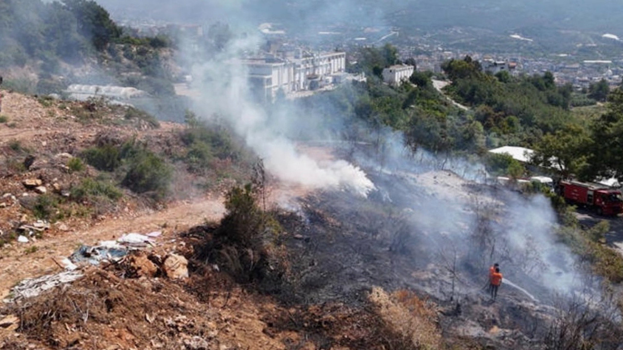 Antalya'nın Alanya ilçesinde makilik alanda yangın: Müdahale sonrası söndürüldü