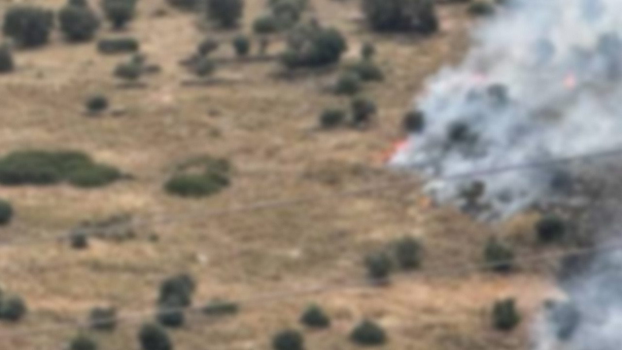 Çanakkale'de zeytinlik alanda yangın çıktı