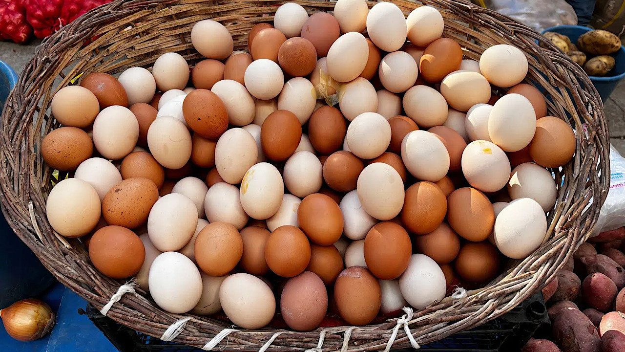 Okul öncesi zam dalgası! Yumurtanın fiyatı cep yaktı