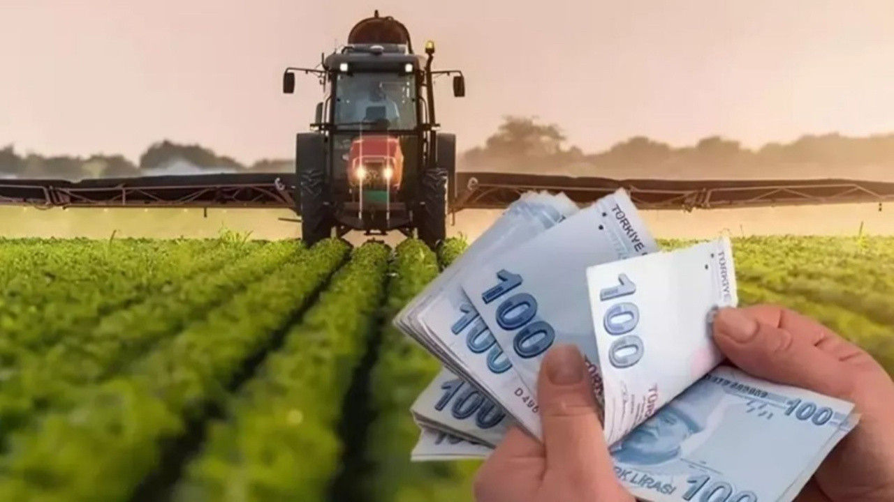 Tarım Bakanlığı duyurdu! 450 milyon liralık tarımsal destek kimlere verilecek, ödemeler başladı mı?