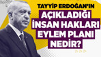 Tayyip Erdoğan'ın açıkladığı insan hakları eylem planı nedir?