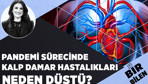 Pandemi sürecinde kalp damar hastalıkları neden düştü?