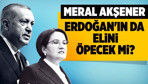 Meral Akşener Erdoğan'ın da elini öpecek mi?