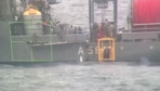Marmara Denizi'nde batan geminin enkazına dalış yapılıyor! İşte dalış görüntüleri...