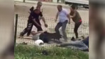 Ağızlıksız gezen yasaklı ırk köpek sokakta vatandaşa saldırdı, olaya polis müdahale etti