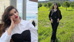 Ayşe Tokyaz cinayetinde savcılık ifadeleri ortaya çıktı! Her detayı vahşet!