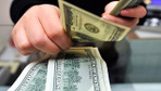 Merkez Bankası yıl sonu dolar tahminini açıkladı! Politika faizi beklentisi de...