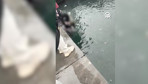 Kadıköy'de iskelede denize düşen 4 kişiden 1'i hayatını kaybetti