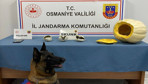 Osmaniye'de bal kabağının içine uyuşturucu gizleyen zanlı tutuklandı