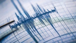 Erzincan'da 4,9 büyüklüğünde deprem! Naci Görür: 'deprem bekliyoruz'