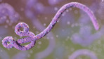 Fransa'da bu dönemde ilk kez Ebola virüsü vakası görüldü