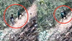 Fotokapana yakalandılar! CHP'li başkan ve oğlu gözaltına alındı