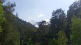 antalya-yangin-kemer-orman-yangi-gmot_cover.jpg