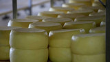 Ünlü Peynir Markasının Ürününden Listeria Bakterisi Çıktı: Bakanlık Onayladı