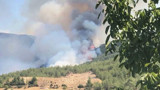 Aydın Çine'de orman yangını: Müdahaleler sürüyor