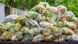 Türkiye’de kişi başına 102 kilogram gıda çöpe atılıyor