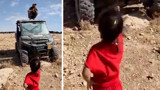 Filistinli küçük kız, arazilerine giren İsrailliye böyle kafa tuttu