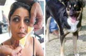 Köpekten tehlikeli öpücük!