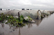 Mersin'de yağışlar seralarda hasara neden oldu