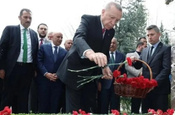 Erdoğan'dan Alparslan Türkeş'in kabrine ziyaret