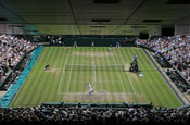 Wimbledon'ın toplam para ödülü rekor seviyeye çıktı