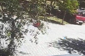 Başıboş köpeklerin saldırdığı çocuk vatandaşın yardımıyla kurtarıldı