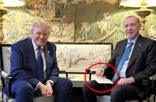 Erdoğan ile Trump görüşmesine damga vuran zarf! İçinde ne var?