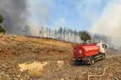 Bursa'da çıkan orman yangınına müdahale ediliyor