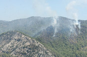 Mersin'de orman yangını! Havadan ve karadan müdahale sürüyor...