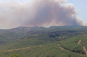 Mersin'de ormanlık alanda yangın çıktı