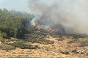 Hatay Antakya'da korkunç anlar! Orman yangını çıktı