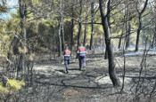 Çanakkale’deki orman yangını kontrol altına alındı