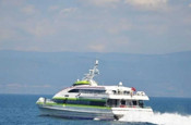 İstanbul - Bursa deniz otobüsü seferleri iptal edildi