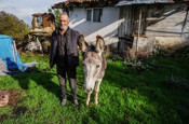Sındırgı'da eşeğini enkazdan çıkardı dünyalar benim oldu dedi