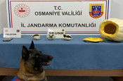 Osmaniye'de bal kabağının içine uyuşturucu gizleyen zanlı tutuklandı