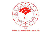 Orman Genel Müdürlüğünün 496 sözleşmeli personel alımına ilişkin detaylar belli oldu