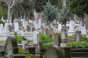 İstanbul'da en pahalı mezar yeri ücretine bakın! 1 Ocak'tan itibaren geçerli olacak