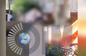 Antalya'da çocuk parkında rezalet! Yaşlı iki erkek uygunsuz halde görüntülendi