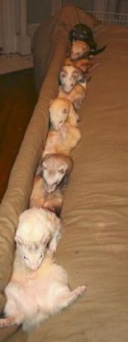 Bir oradan bir buradan en komikler - Resim: 3