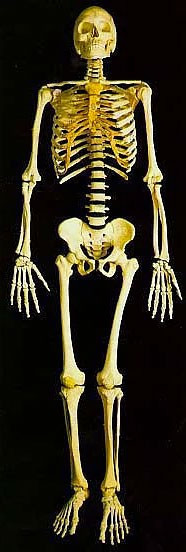 Mezardan gelen sesin sırrı! Ölünce neler oluyor? - Resim: 1