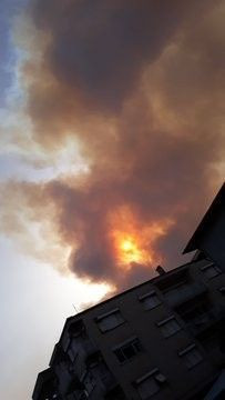 Aydın Söke alevlere teslim oldu! Korkutan yangında 50 hane boşaltıldı - Resim: 3