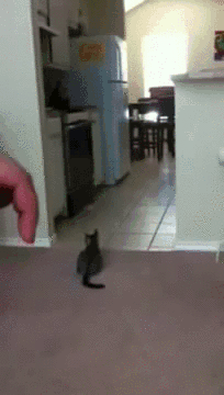 Haftanın bomba gifleri - Resim: 3